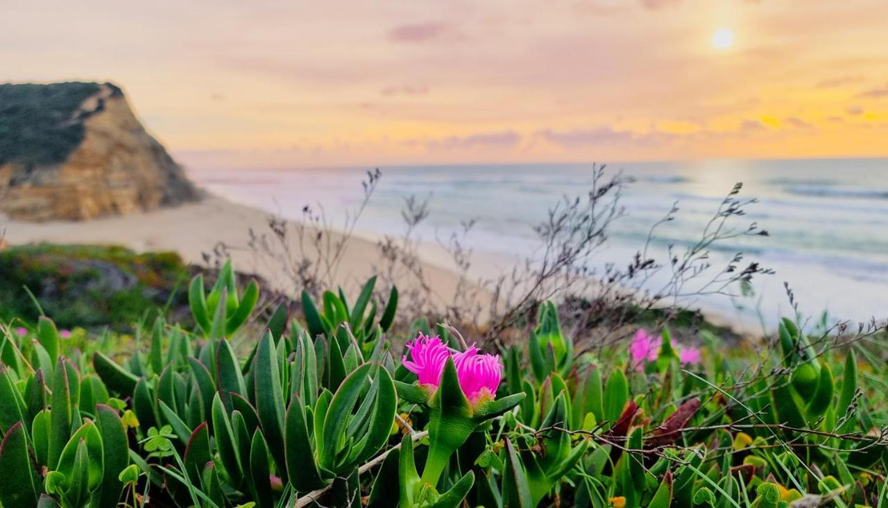 Отель Tika Surf Camp Ericeira Carvoeira Экстерьер фото